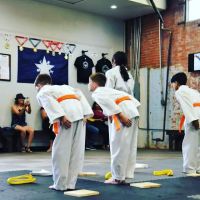 Droptine Blackbelt Academy ico