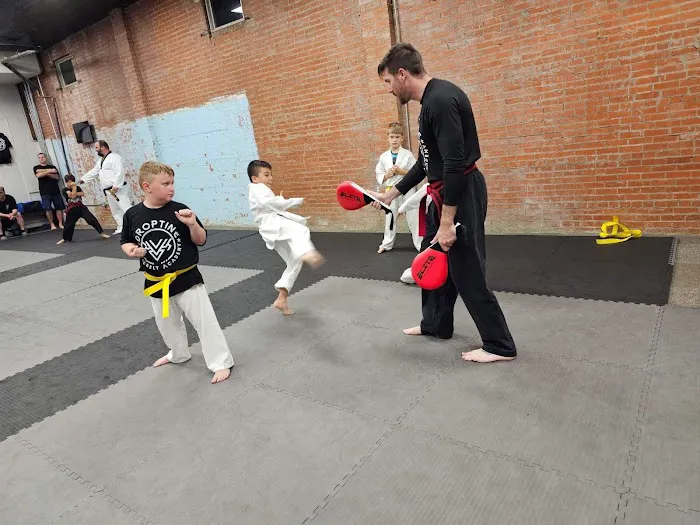 Droptine Blackbelt Academy Picture 8