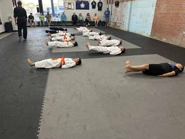 Droptine Blackbelt Academy Picture 7