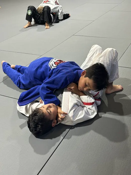 Mollis Ars Bjj Picture 8
