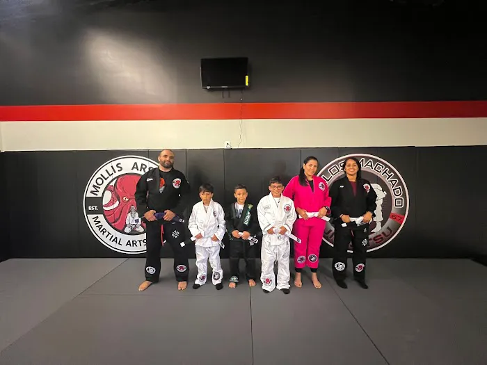 Mollis Ars Bjj Picture 4