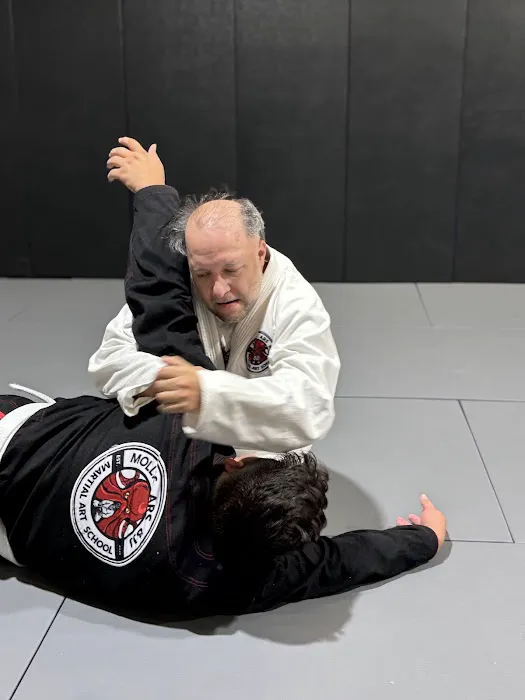 Mollis Ars Bjj Picture 6