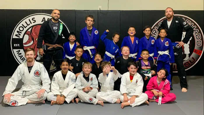 Mollis Ars Bjj Picture 1