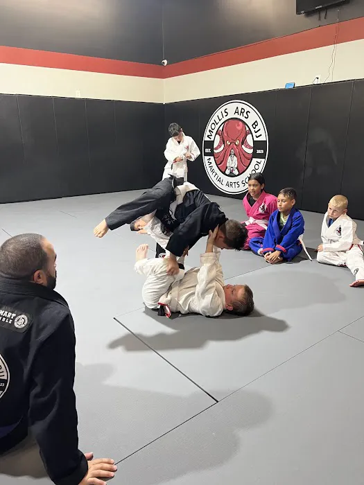 Mollis Ars Bjj Picture 7