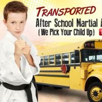 Paks Karate Texas ico