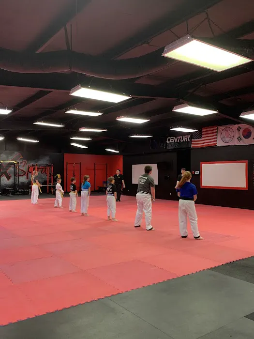 Paks Karate Texas Picture 2