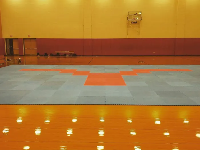 Texas Taekwondo Picture 2