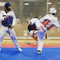Texas Taekwondo ico