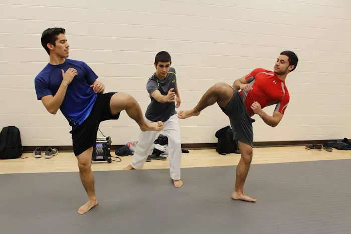 Texas Taekwondo Picture 4
