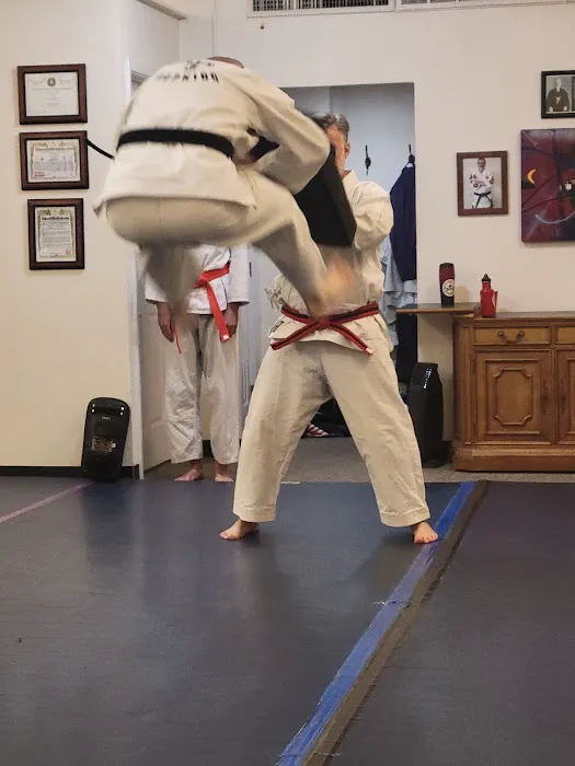 Zen Hapkido Picture 2