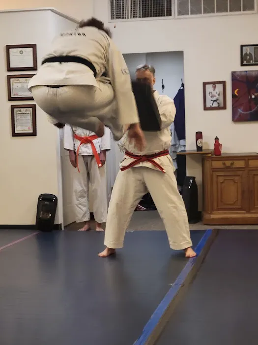 Zen Hapkido Picture 1