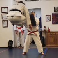 Zen Hapkido ico