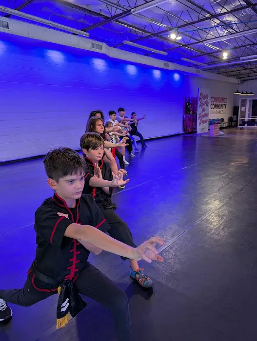 Austin Kung-Fu Academy Picture 1