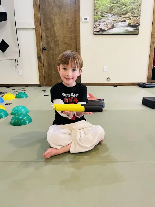 Life Ki-do Austin Martial Arts Dojo Picture 3