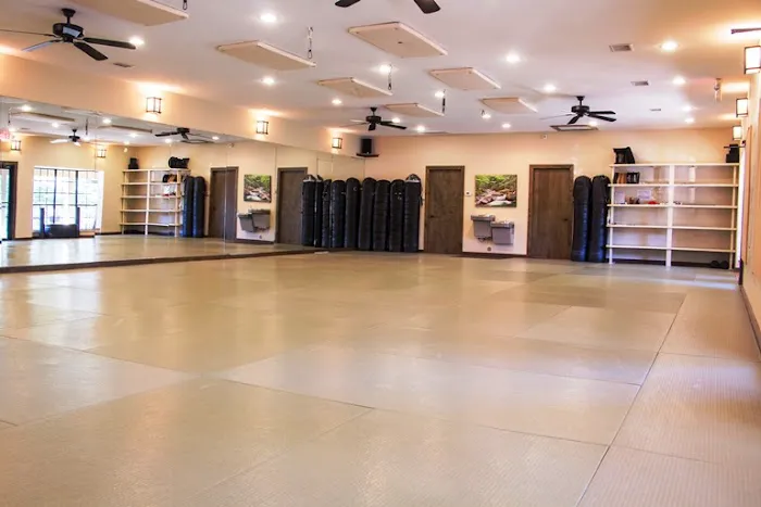 Life Ki-do Austin Martial Arts Dojo Picture 8