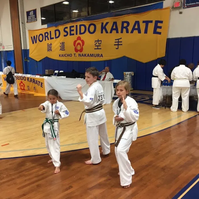 Sun Dragon Seido Karate & Self Defense, NFP Picture 3