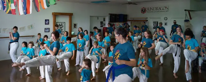Sun Dragon Seido Karate & Self Defense, NFP Picture 7