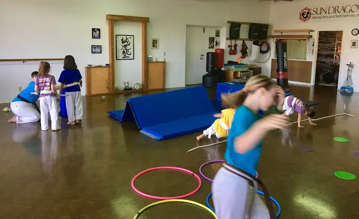 Sun Dragon Seido Karate & Self Defense, NFP Picture 6