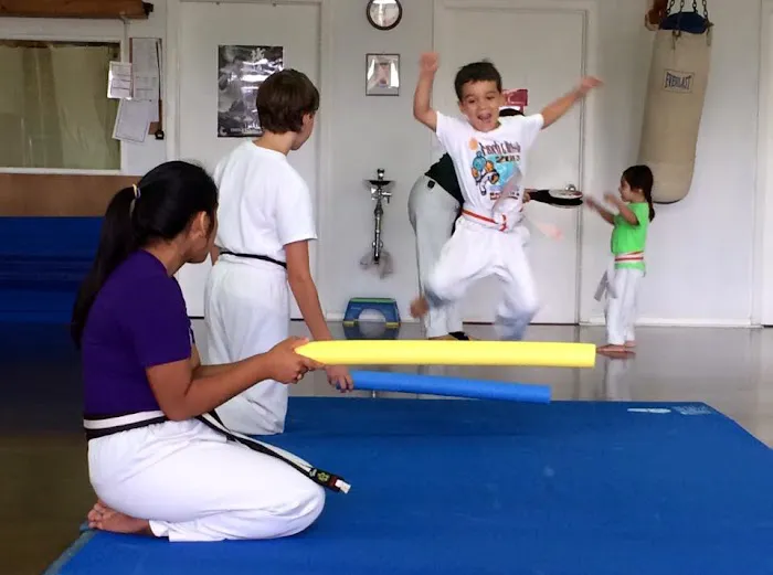 Sun Dragon Seido Karate & Self Defense, NFP Picture 4