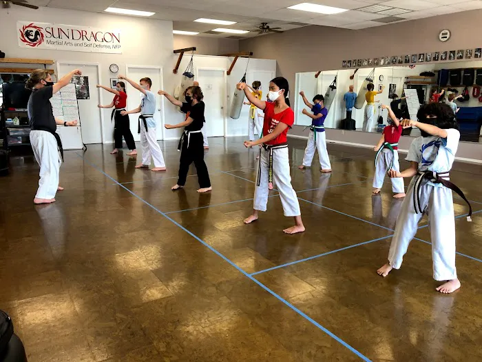 Sun Dragon Seido Karate & Self Defense, NFP Picture 9