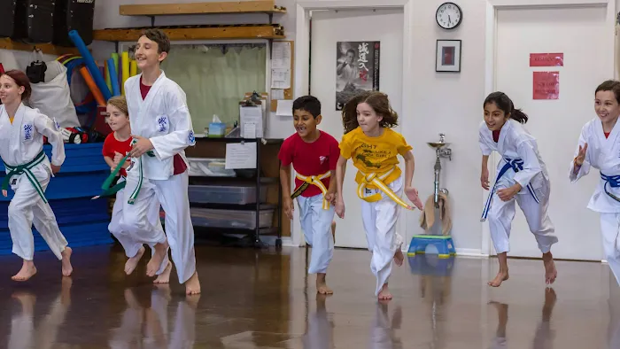 Sun Dragon Seido Karate & Self Defense, NFP Picture 10