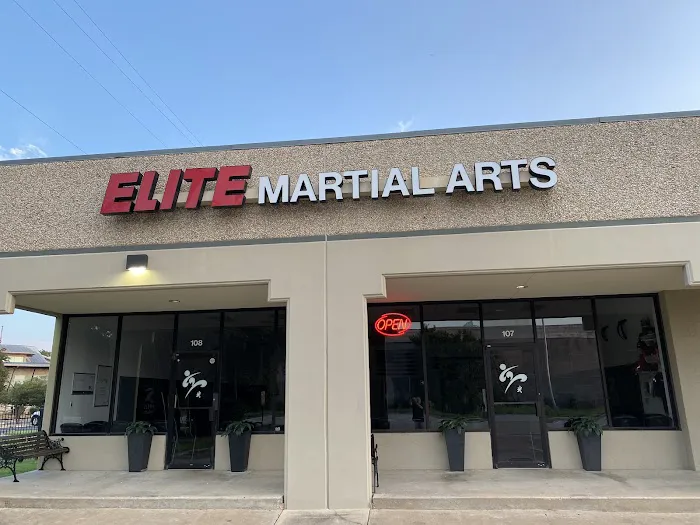 Elite Martial Arts Picture 2