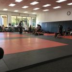 Elite Martial Arts