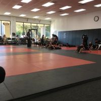 Elite Martial Arts ico