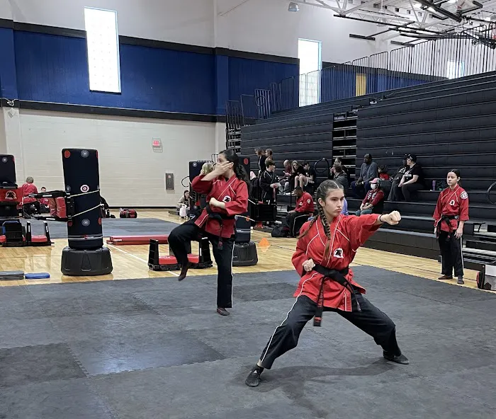 Tiger-Rock Martial Arts of South Austin Picture 6