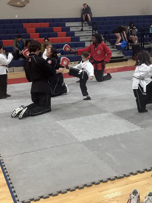Tiger-Rock Martial Arts of South Austin Picture 7