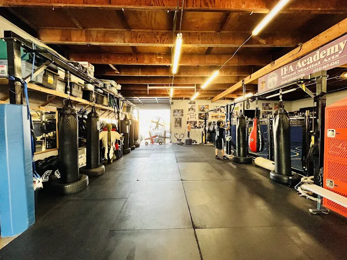 Integrated Fighting Arts Academy Picture 3