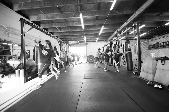 Integrated Fighting Arts Academy Picture 8
