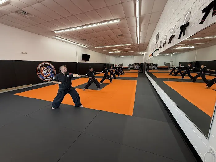 Immortal Martial Arts Academy Picture 5