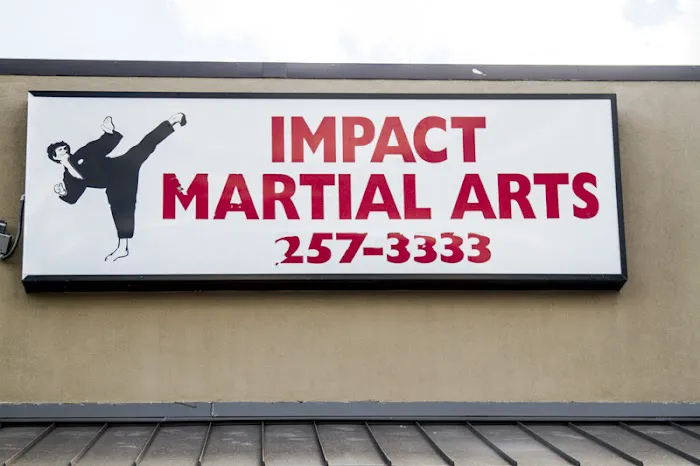Impact Martial Arts Picture 3