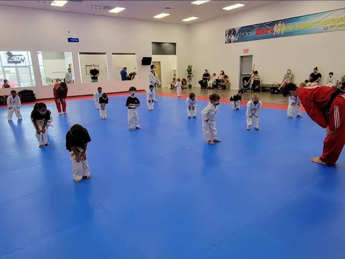 Won's White Tiger Taekwondo Picture 4