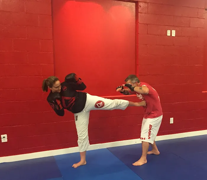 Gracie Barra South Austin Picture 3