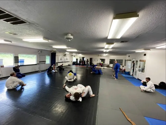 ATX Martial Arts Featuring Gracie Jiu Jitsu & TaekwonDo Plus Picture 5