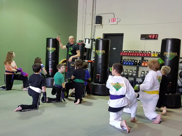 Premier Martial Arts Austin, TX Picture 3