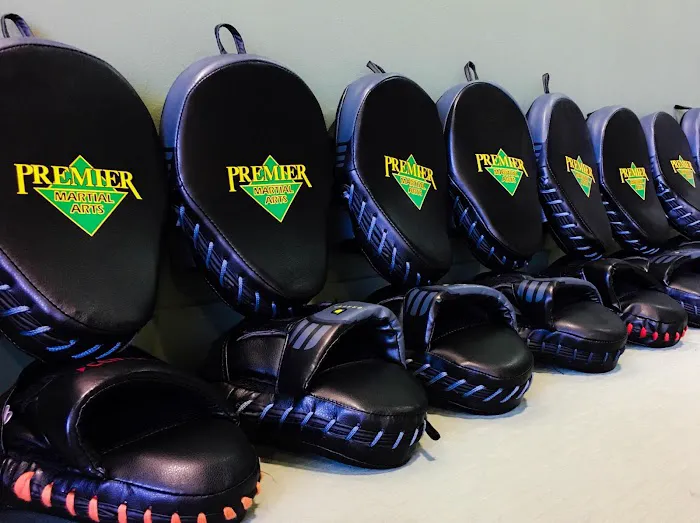 Premier Martial Arts Austin, TX Picture 7