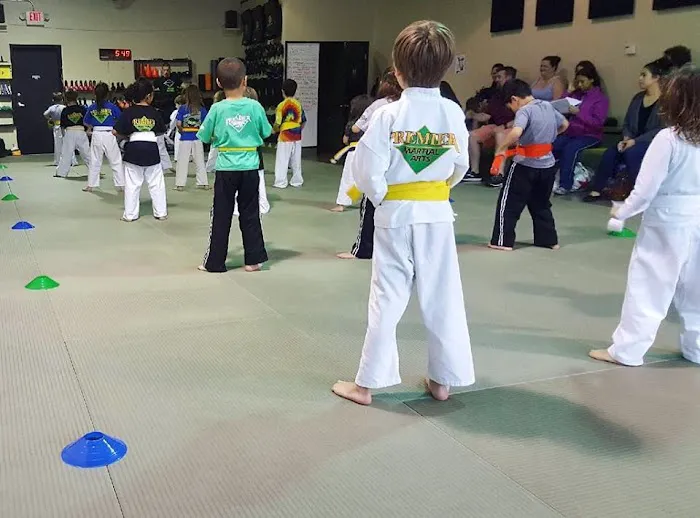 Premier Martial Arts Austin, TX Picture 5