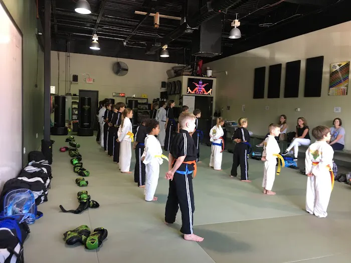 Premier Martial Arts Austin, TX Picture 4