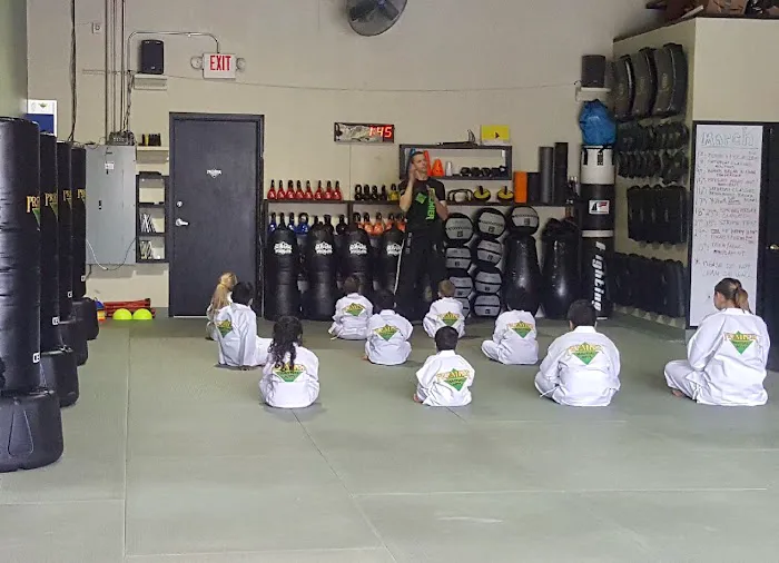 Premier Martial Arts Austin, TX Picture 10