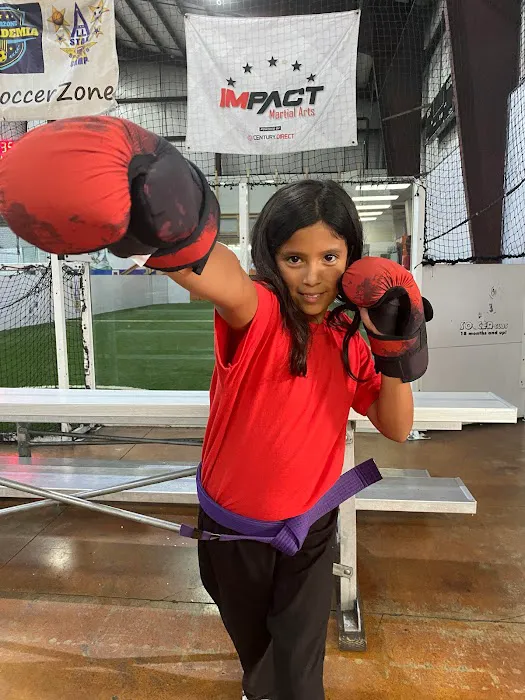 Impact Martial Arts Austin TX Picture 5