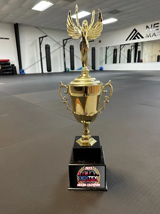 New Era Martial Arts Picture 10