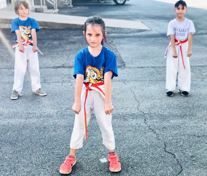 Austin Karate Academy Picture 2