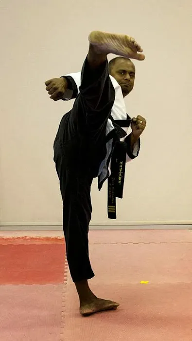 Austin Karate Academy Picture 8