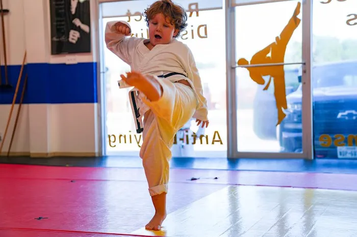 Austin Karate Academy Picture 9