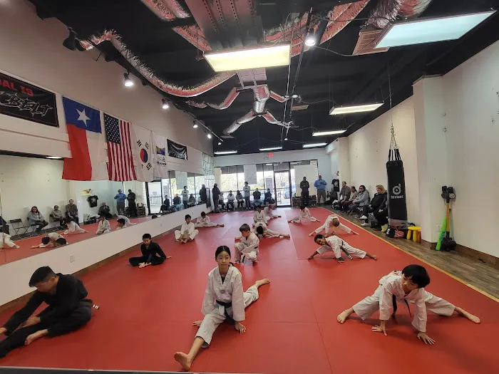 American Tigers World TaeKwonDo Picture 8