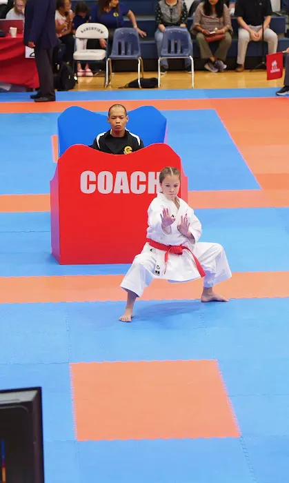 Austin Karate Center Picture 6