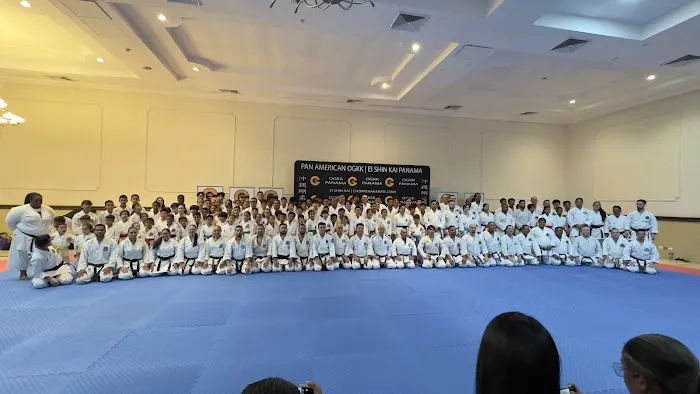 Austin Karate Center Picture 7
